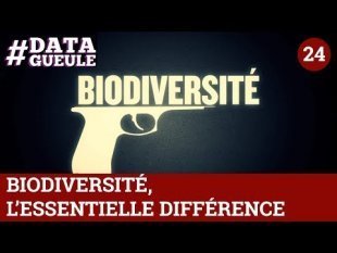 Biodiversité, l'essentielle différence , par Data Gueule (vidéo)