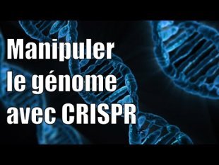 Modifier le génome avec CRISPR (Science Etonnante)