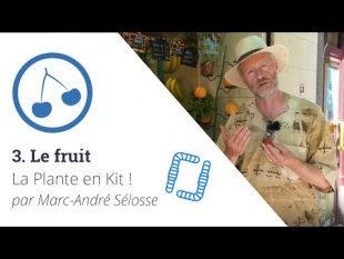 La Plante en Kit ! Ep3 - Le fruit, avec Marc-André Sélosse