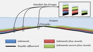Sédimentation océanique de part et d’autre de la dorsale (en ligne)