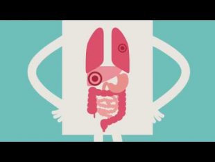 Le développement d'un cancer (vidéo en ligne)
